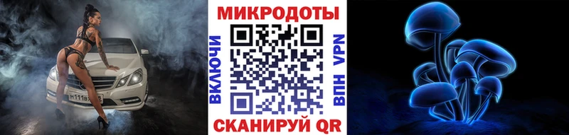 Галлюциногенные грибы Psilocybe  Купить где  Починок 